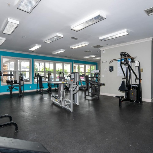 Get your workout on a gym with treadmills